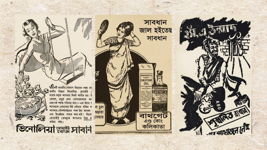 সুন্দরবনের করমজল ও কটকা অভয়ারণ্যে বন্যপ্রাণীদের মুক্ত বিচরণ